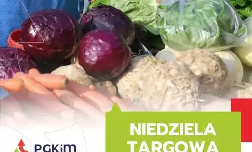 niedziela handlowa pgkim krotoszyn